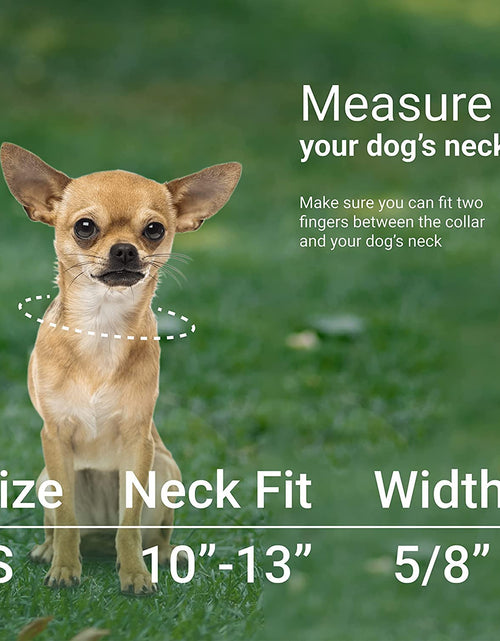 Load image into Gallery viewer, Aztec Dog Collar Adjustable Nylon Tribal Pattern Geometric Pet Collars for Dogs Small Medium Large Puppy
