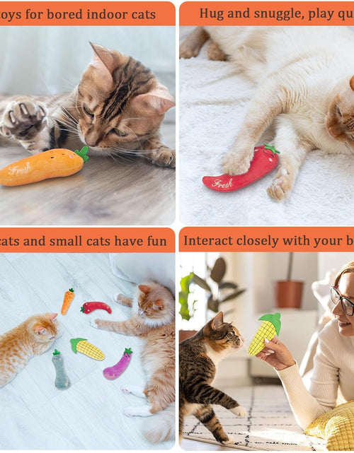Load image into Gallery viewer, Catnip Toys, Cat Toys, Cat Toys for Indoor Cats, Catnip Toys for Cats, Cat Toys with Catnip, Interactive Cat Toy, Cat Chew Toy, Cat Pillow Toys, Cat Toys for Kittens Kitty
