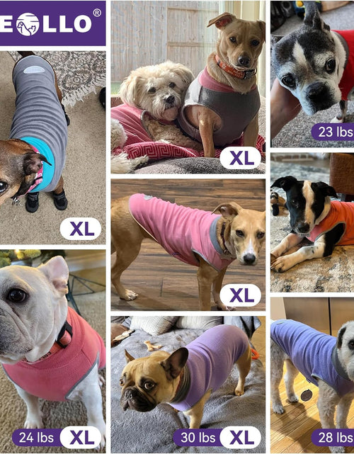 Load image into Gallery viewer, 2 Pack Dog Sweater Sweatshirt Stretchy Fleece Vest Pullover Dog Jacket with Reflective Stripe Lightweight Pet Coats Dog Sweaters for Small Dogs Grey &amp; Red

