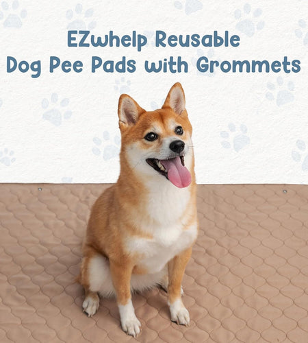 Reusable Dog Pee Pads - Waterproof Training Pads for Dogs - Washable & Sanitary - Rounded Corners - Laminated, Lightweight, Durable - Pet Essentials for Puppy Training and Whelping - 48" X 60"