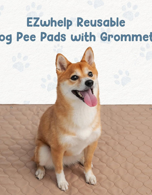Load image into Gallery viewer, Reusable Dog Pee Pads - Waterproof Training Pads for Dogs - Washable &amp; Sanitary - Rounded Corners - Laminated, Lightweight, Durable - Pet Essentials for Puppy Training and Whelping - 48&quot; X 60&quot;
