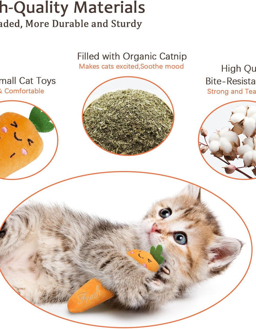 Load image into Gallery viewer, Catnip Toys, Cat Toys, Cat Toys for Indoor Cats, Catnip Toys for Cats, Cat Toys with Catnip, Interactive Cat Toy, Cat Chew Toy, Cat Pillow Toys, Cat Toys for Kittens Kitty
