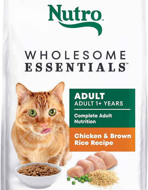 Load image into Gallery viewer, Wholesome Essentials Adult &amp; Senior Dry Cat Food, Chicken
