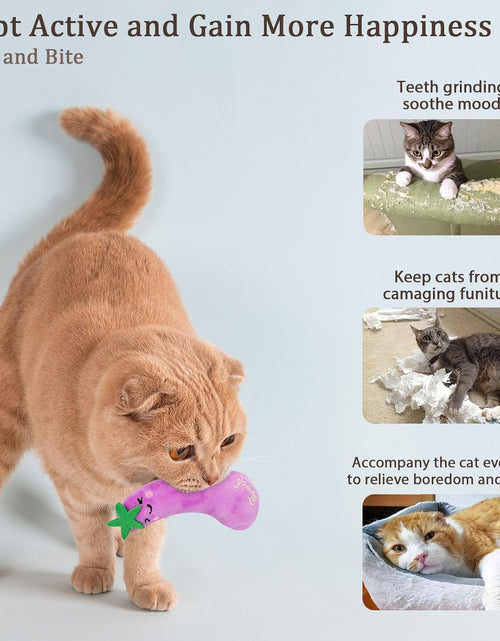 Load image into Gallery viewer, Catnip Toys, Cat Toys, Cat Toys for Indoor Cats, Catnip Toys for Cats, Cat Toys with Catnip, Interactive Cat Toy, Cat Chew Toy, Cat Pillow Toys, Cat Toys for Kittens Kitty
