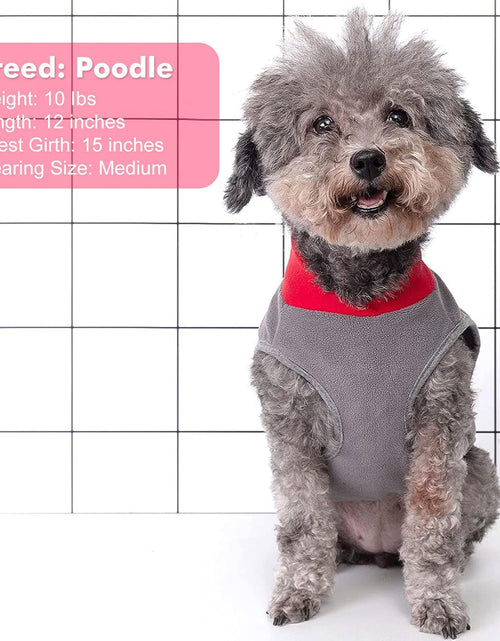 Load image into Gallery viewer, 2 Pack Dog Sweatshirts Fleece Jacket with Reflective Stripe Pullover Stretchy Dog Sweater Soft Pet Clothes Lightweight Dog Sweaters for Small Dogs Turquoise &amp; Grey
