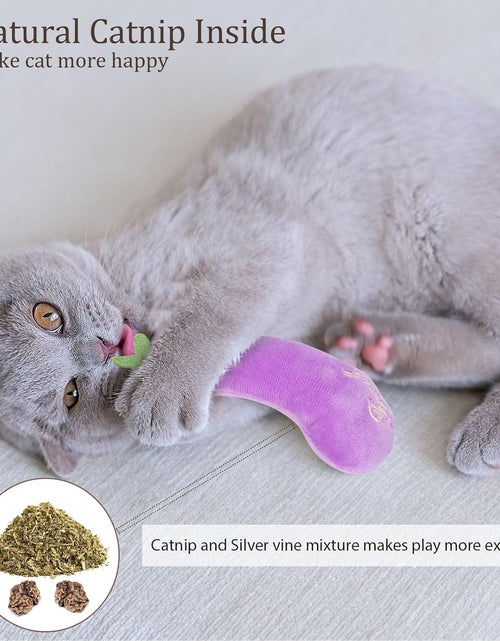 Load image into Gallery viewer, Catnip Toys, Cat Toys, Cat Toys for Indoor Cats, Catnip Toys for Cats, Cat Toys with Catnip, Interactive Cat Toy, Cat Chew Toy, Cat Pillow Toys, Cat Toys for Kittens Kitty
