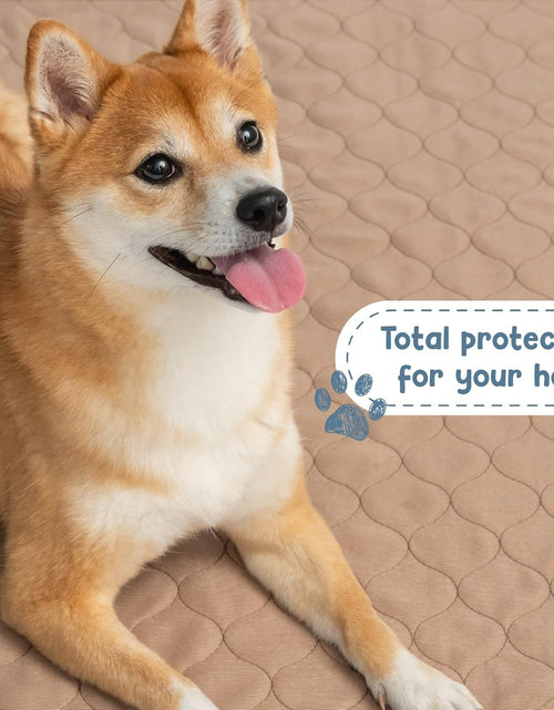 Load image into Gallery viewer, Reusable Dog Pee Pads - Waterproof Training Pads for Dogs - Washable &amp; Sanitary - Rounded Corners - Laminated, Lightweight, Durable - Pet Essentials for Puppy Training and Whelping - 48&quot; X 60&quot;

