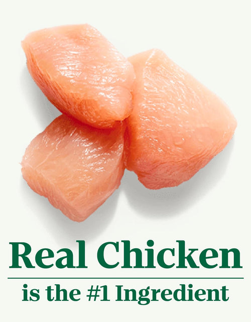 Load image into Gallery viewer, Wholesome Essentials Adult &amp; Senior Dry Cat Food, Chicken
