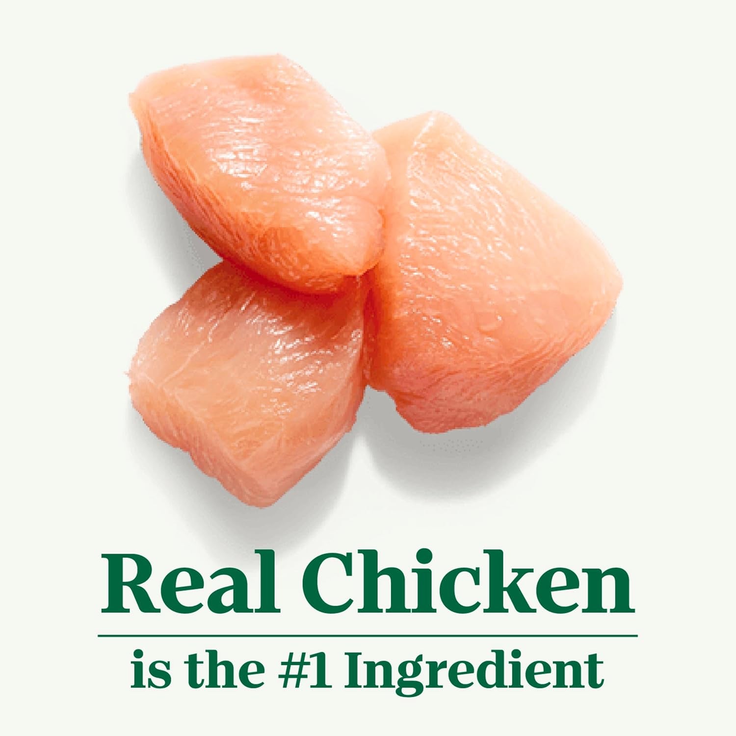 Wholesome Essentials Adult & Senior Dry Cat Food, Chicken