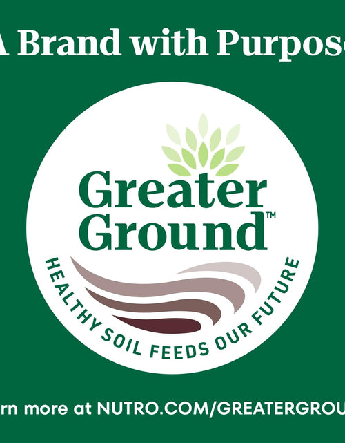 Load image into Gallery viewer, Wholesome Essentials Adult &amp; Senior Dry Cat Food, Chicken
