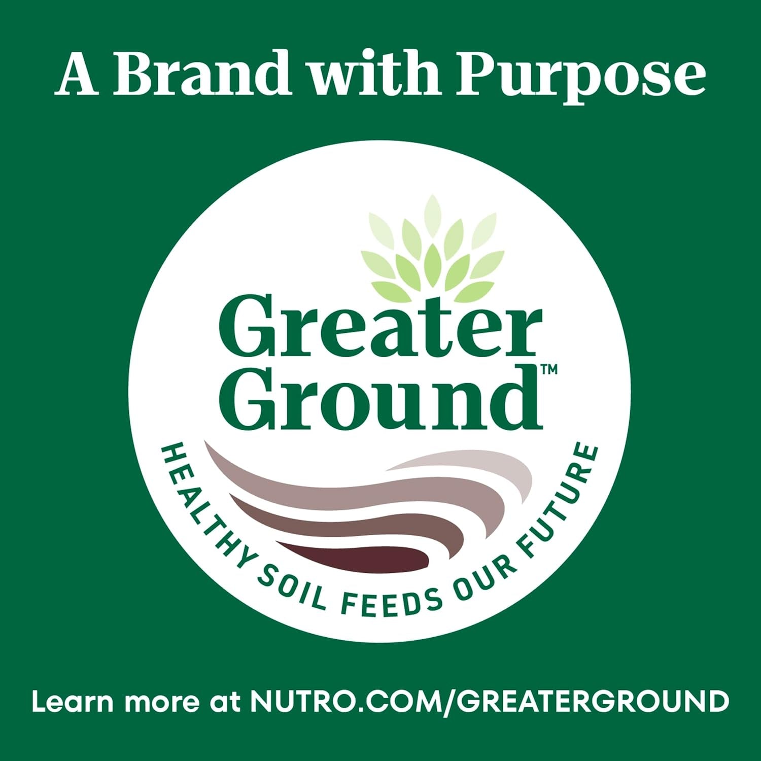 Wholesome Essentials Adult & Senior Dry Cat Food, Chicken